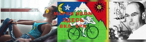 ПСИЛОЦИБИНОВЫЕ ГРИБЫ Зеленодольск