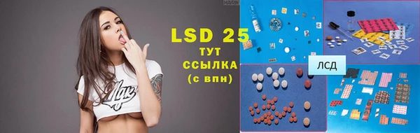 ПСИЛОЦИБИНОВЫЕ ГРИБЫ Зеленодольск