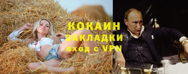 ПСИЛОЦИБИНОВЫЕ ГРИБЫ Зеленодольск