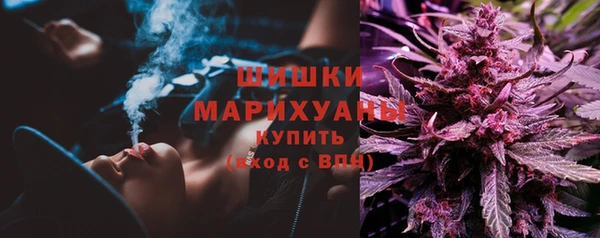 ПСИЛОЦИБИНОВЫЕ ГРИБЫ Зеленодольск