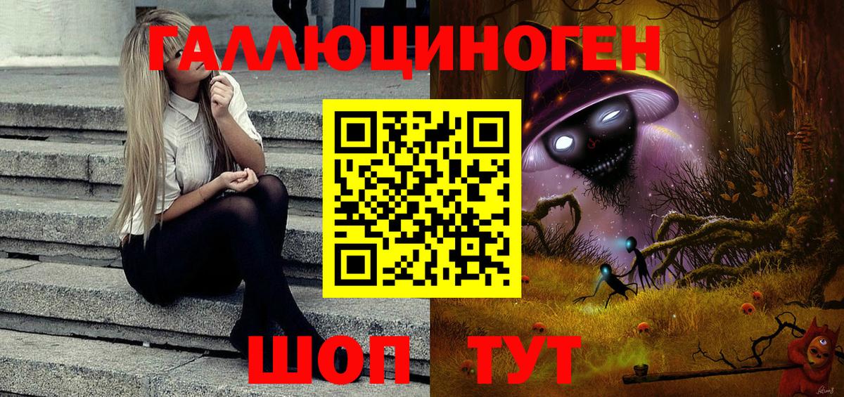 Галлюциногенные грибы Cubensis Саяногорск